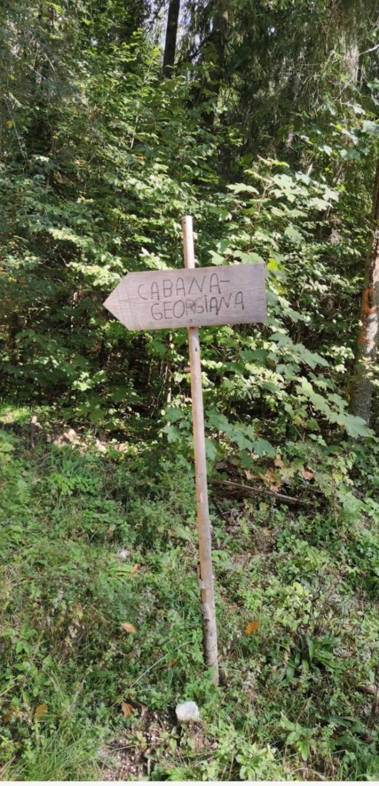 Cabana Georgiana Maria Ghetari Екстер'єр фото